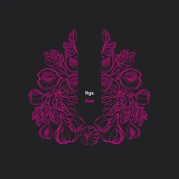 Fig ornate pattern. Vector branch, fruit. Vintage Stock Illustration