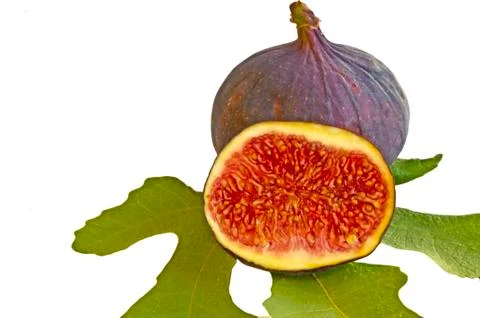 Fig Stock Photos