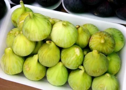 Fig Stock Photos