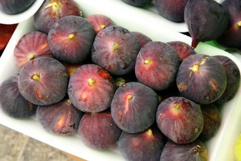 Fig Stock Photos