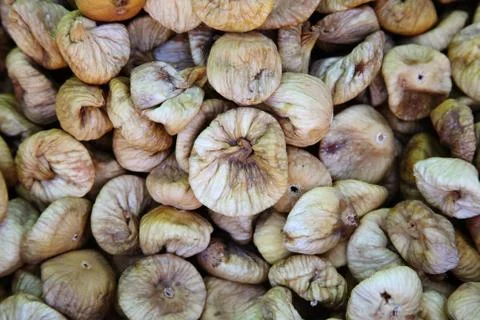 Fig Stock Photos