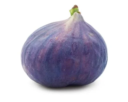 Fig Stock Photos
