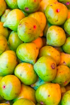 Fig Stock Photos