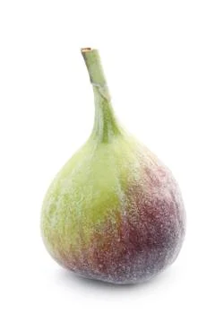 Fig Stock Photos