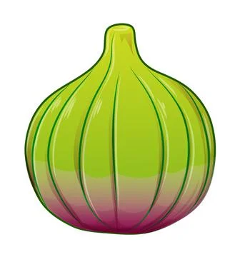 Fig, purple whole fruit . Vector illustration cartoon flat  isolated on white Stock-Illustration