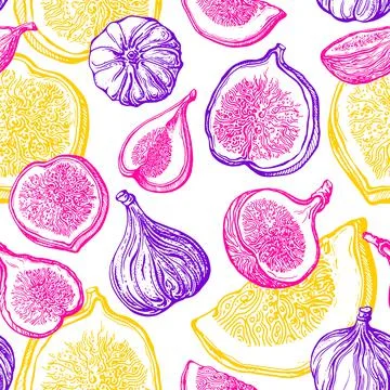Fig seamless pattern. Vector shape of fruit, sliced piece. Color print on whi Stock Illustration