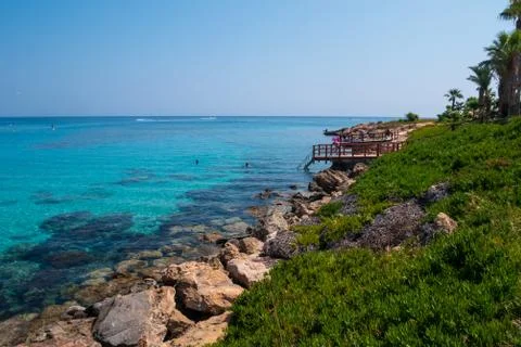Fig Tree Bay Stock Photos