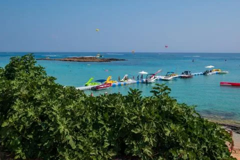 Fig Tree Bay Stock Photos