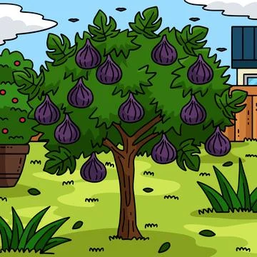 Fig Tree Fruit Plant Colored Cartoon Illustration Stock Illustration