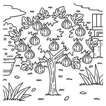 Fig Tree Fruit Plant Coloring Page for Kids Stock Illustration