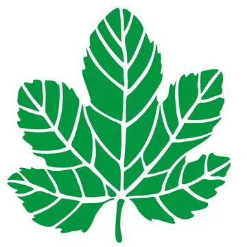 Fig tree leaf print, icon, logo, green leaf Stock Illustration