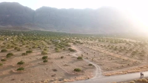 Fig tree orchard rainfed agriculture in Iran fars cultural landscape in Stock Footage 263295200