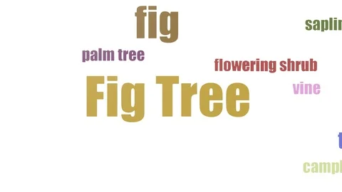 Fig Tree Tag Cloud Animated Isolated Stock Footage 107246190
