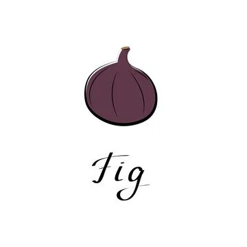 Fig vector cartoon flat illustration. Fresh berry fruit and vegetable logo Stock Illustration