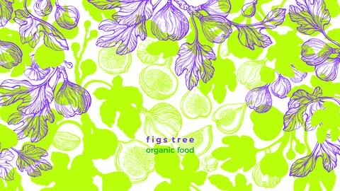 Fig vector illustration. Botanical texture plant Illustrazione stock