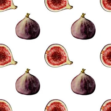Fig watercolor seamless pattern. Fig tree fruit illustration on a white Illustrazione stock