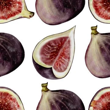 Fig watercolor seamless pattern. Fig tree fruit illustration on a white Stock Illustration