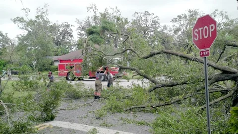 Figherfighters clearing fallen trees in Orlando after Hurrican Irma Stock Footage 80339062