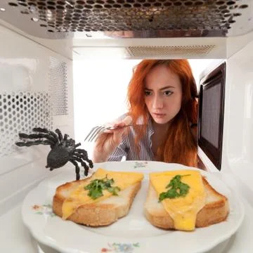 Fight with a spider Stock Photos
