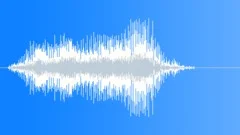 Fight voice clip Sound Effect