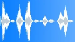 FightEfforts_Grunts_MaleSound Effect