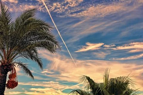 Fighter aircraft fuel trace in the dramatic turkish sky over palm tree. Stock Photos
