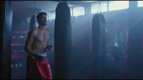 Fighter and trainer throwing medicine ball in boxing gym Stock Footage 275088534