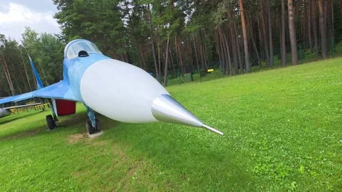 Fighter jet display on green grass field with pine tree forest background, blue Stock Footage 341657747