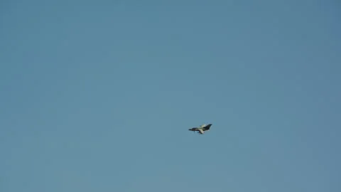 Fighter jet flying in clear blue sky with landing gear down Stock Footage 341778445