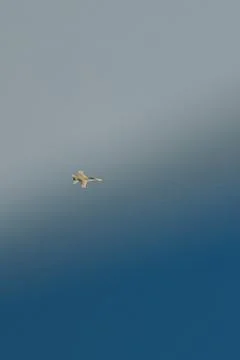 Fighter jet moving rapidly through the vast clear blue sky, demonstrating speed 스톡 사진