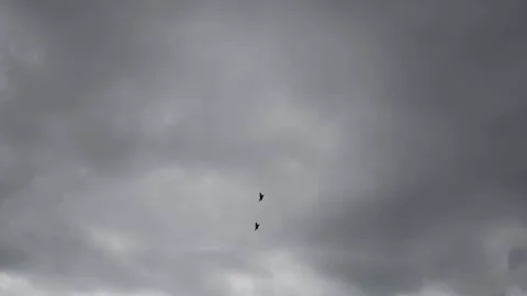 Fighter jets slice through stormy sky flying in sharp formation under heavy gray Video stock 311662262