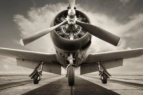 Fighter 스톡 사진