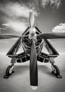 Fighter plane 스톡 사진