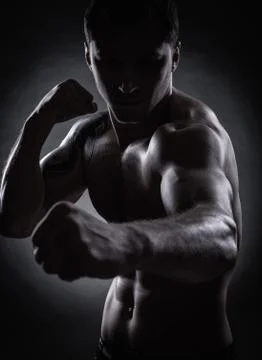 Fighter silhouette Stock Photos