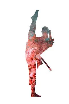 Fighter standing on white background Stock Illustration