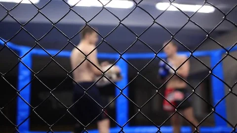Fighters practice punches Stock Footage 71988744