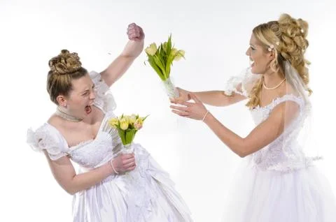 Fighting brides Stock Photos