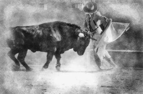 Fighting bull Stock Illustration