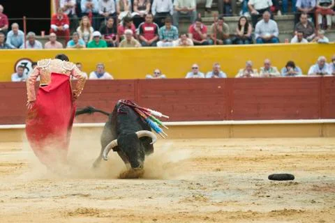 Fighting with the bull. Stock Photos