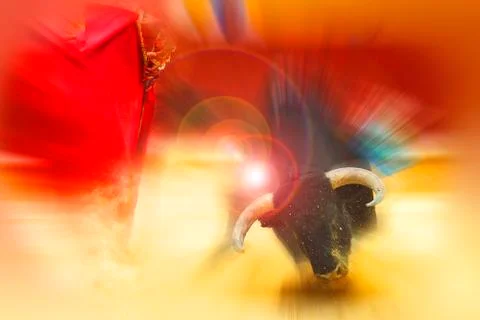 Fighting with the bull. Stock Photos