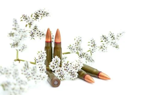 Fighting cartridges Foto stock