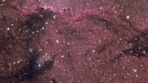 The Fighting Dragons of Ara Stock Footage 166368984