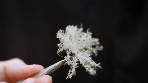 Fighting dust pollution. Scientific laboratory. An engineer holds a perspective  Stock Footage 240894533