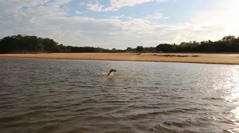 FIGHTING FISH 7 Stock Footage 34624611