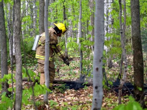 Fighting forest fire Stock Photos