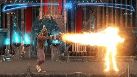 Fighting Game Vidéo 140339401