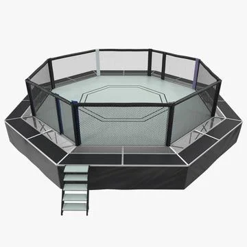 Fighting Octagon Arena 3D Model 3D Model