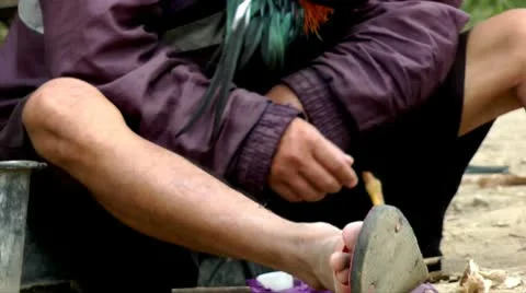 Fighting rooster is prepared Stock Footage 10562210