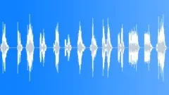 Fighting swooshes setSound Effect