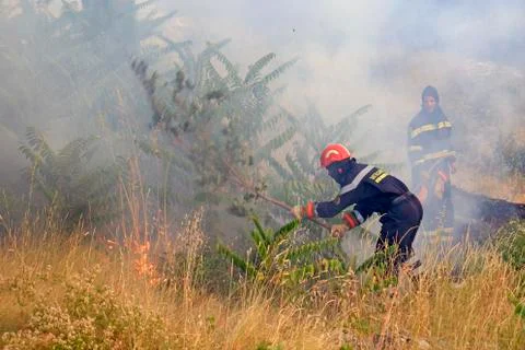 Fighting with the wildfire Stock Photos